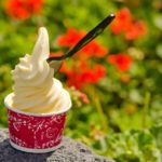 The Dole Whips Snack at Walt Disney World Post Image