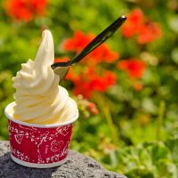 Aloha Isle in Adventureland in the Magic Kingdom