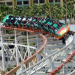 Disney’s California Screamin’ Post Image