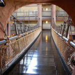 Disney’s Animal Kingdom Lodge Post Image