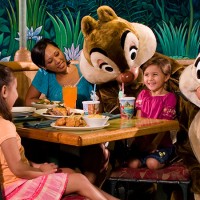 Chip and Dale chipmunks