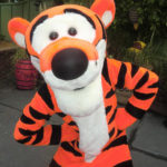 MickeyTravels Agent Virtual Meet & Greet – Donna Rossi Post Image