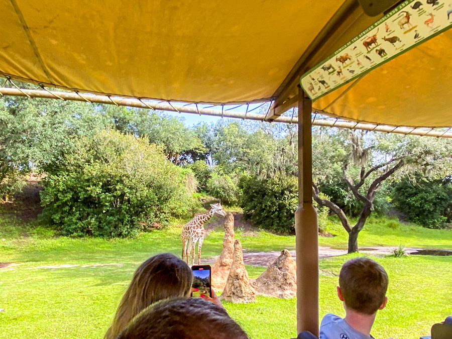 Walt Disney World Wait Times for Presidents Day Week Post Image