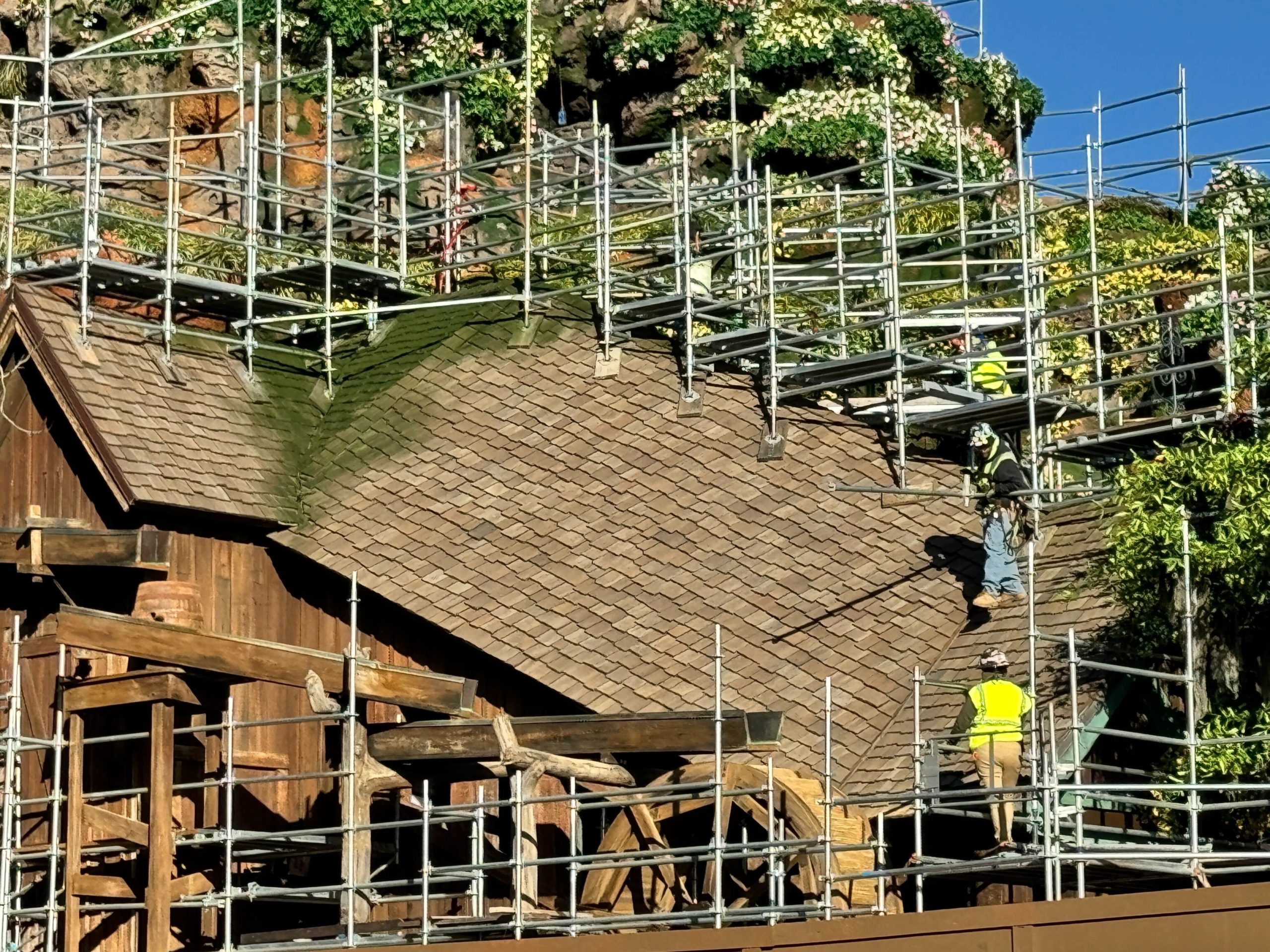 Construction Update: Greenery Extends to the Rooftops at Tiana’s Bayou Adventure in Magic Kingdom Post Image