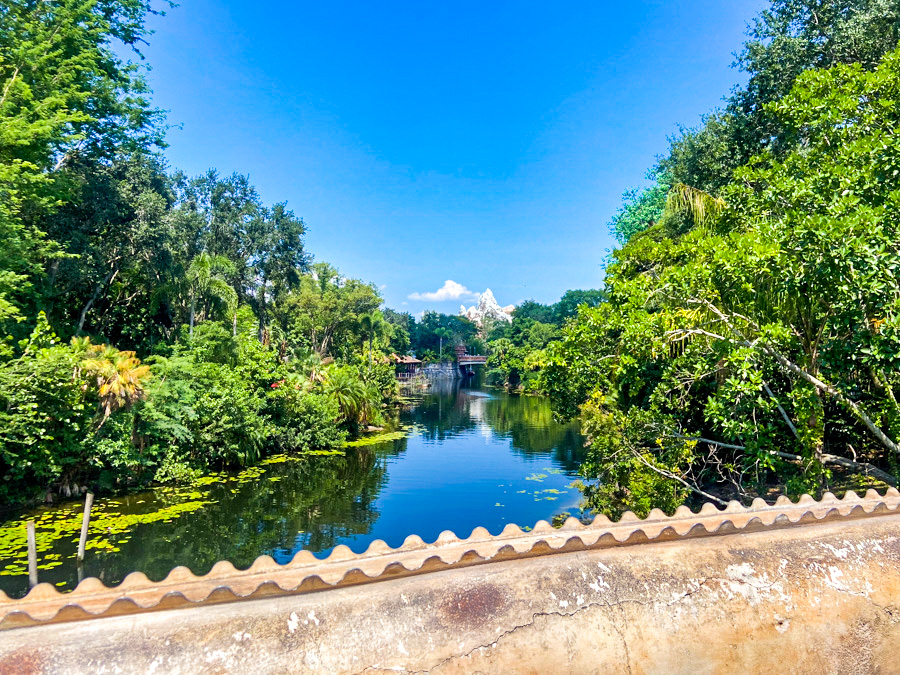 Appreciate These Parts of Animal Kingdom While You Can Post Image