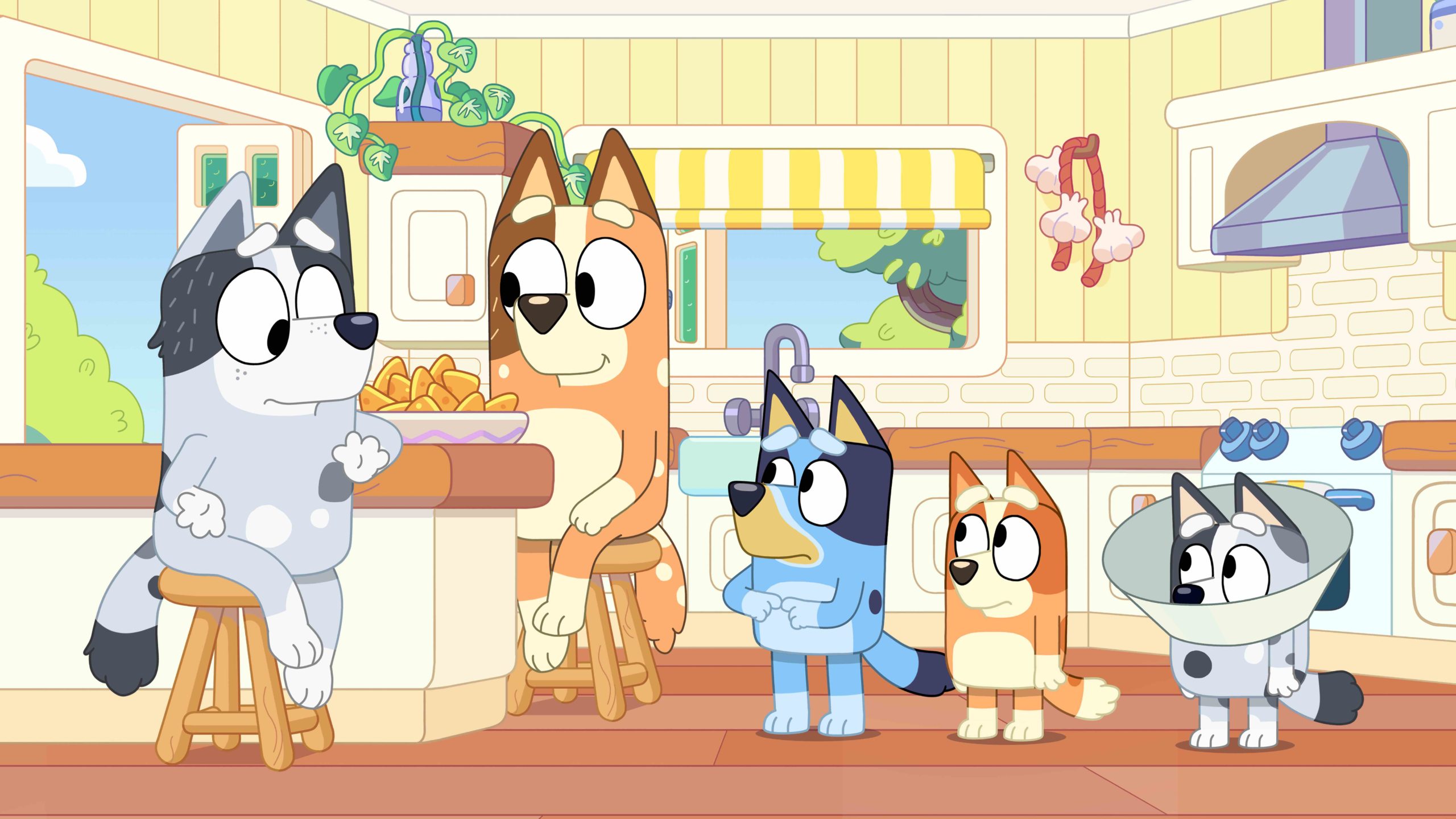 ‘Bluey’ Wins the Streaming Charts Again Post Image