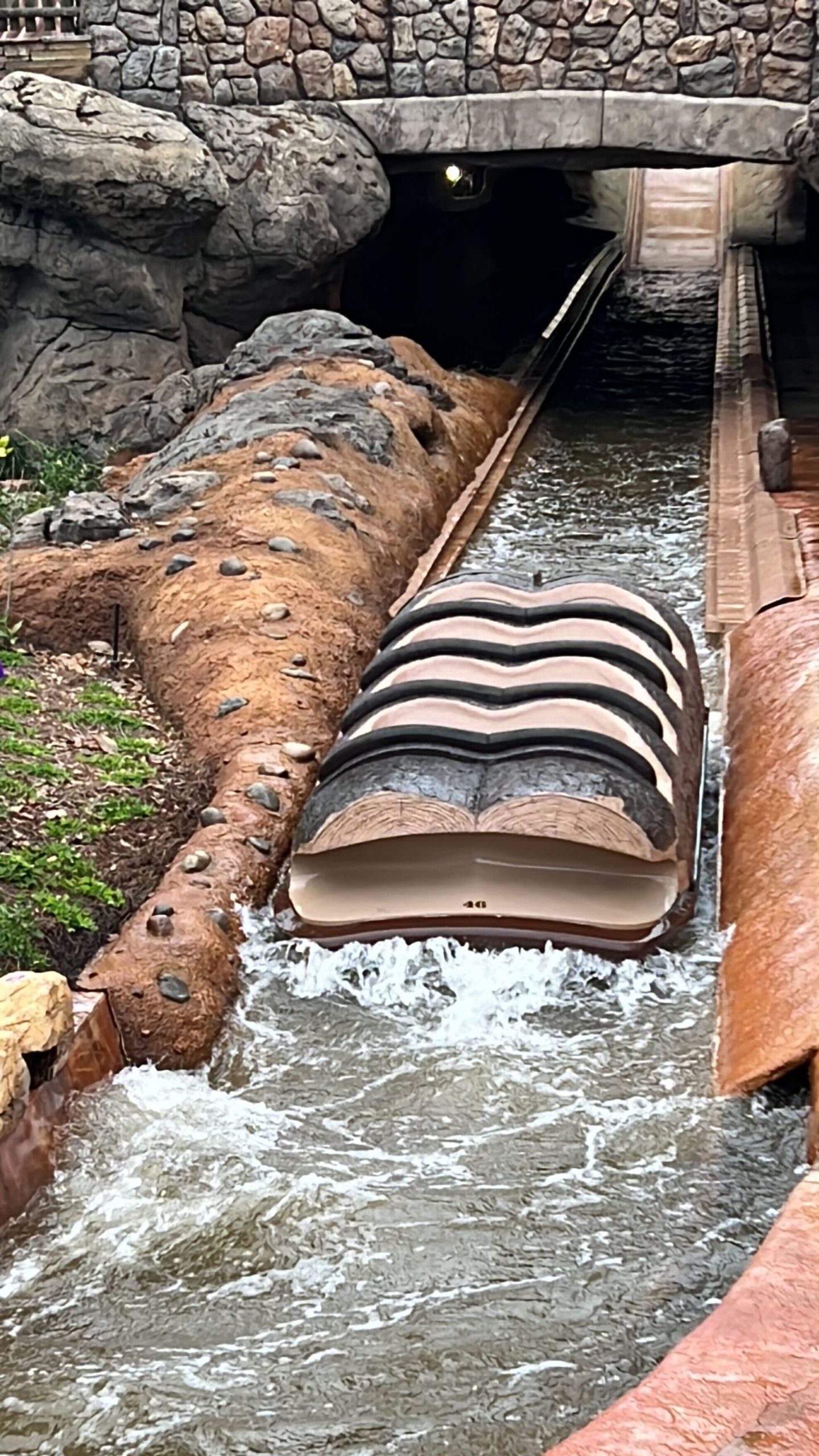 Breaking News: Log Testing Happening NOW at Tiana’s Bayou Adventure Post Image