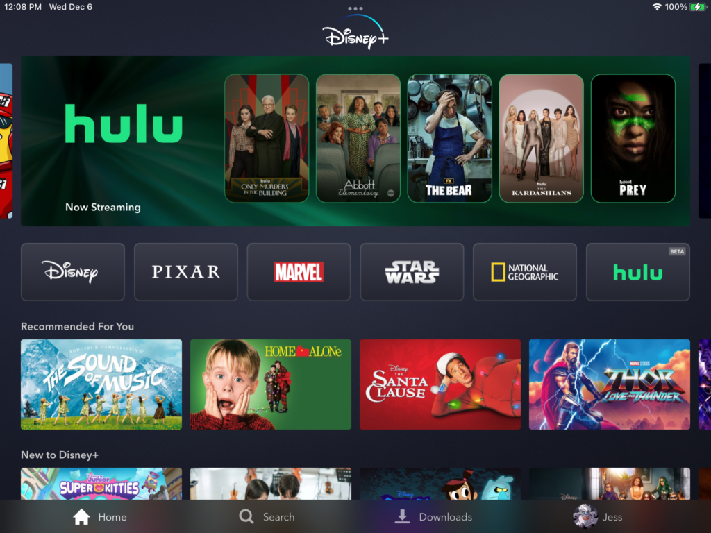 Disney+ Is Reportedly Gearing Up to Launch Star Wars and Marvel Channels Post Image