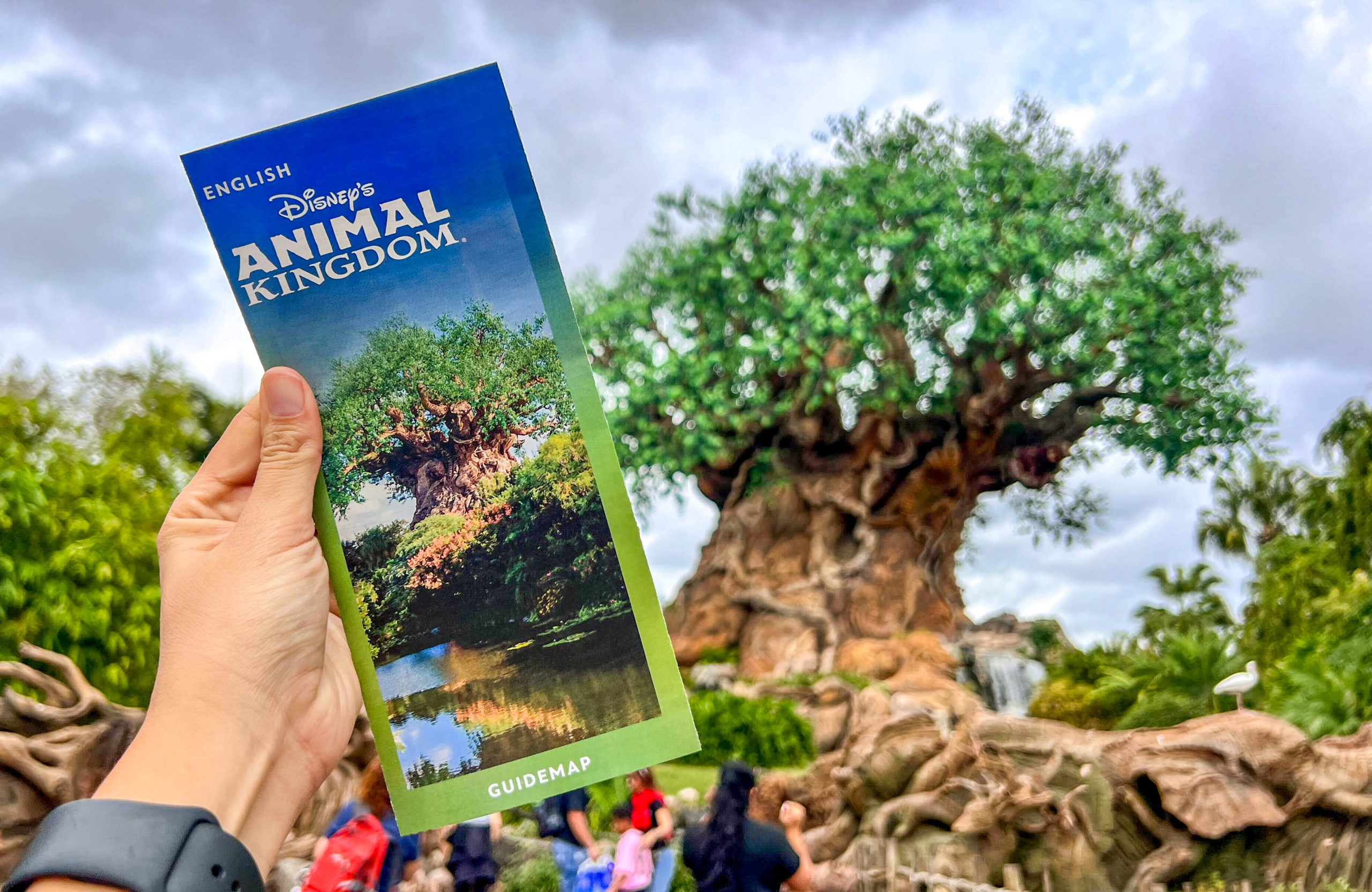 How I Spend the Day at Animal Kingdom Post Image