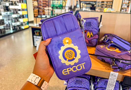 Picking the Best Cheap Eats at Disney World Post Image