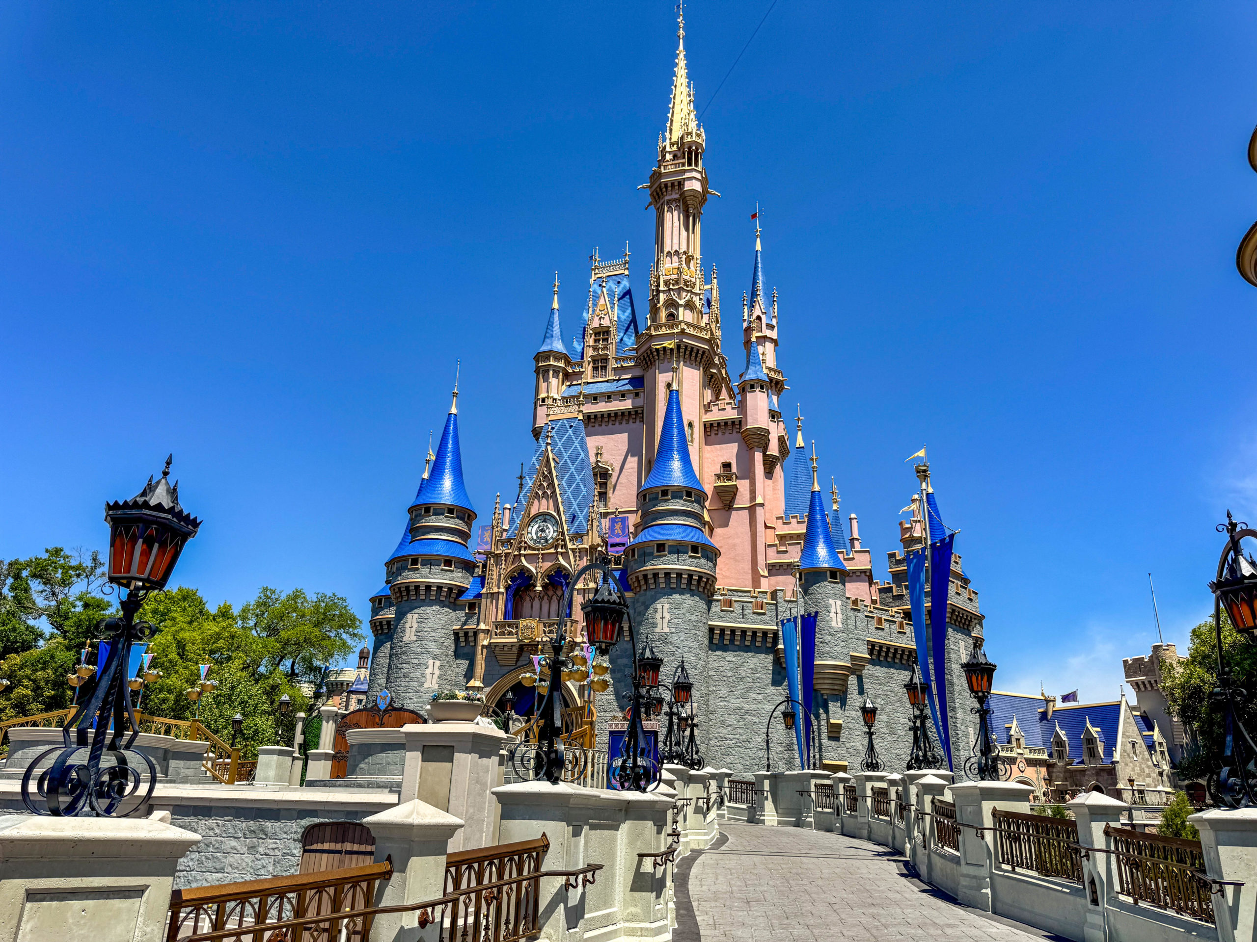 South Carolina Gamecocks Coach Dawn Staley Celebrates NCAA Championship Win at Disney World Post Image