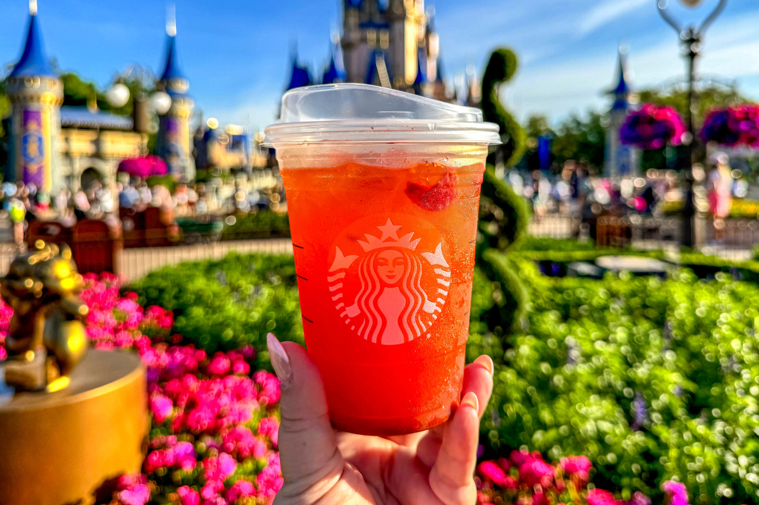 New Redesigned Starbucks Cups Coming Soon! Post Image