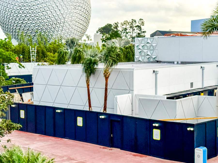 What’s Great at Magic Kingdom, and What Needs Work? Post Image