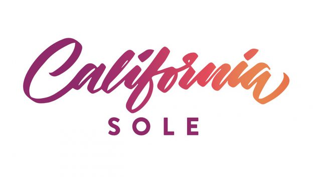 California Sole Has Closed at Downtown Disney- What Will Move In? Post Image