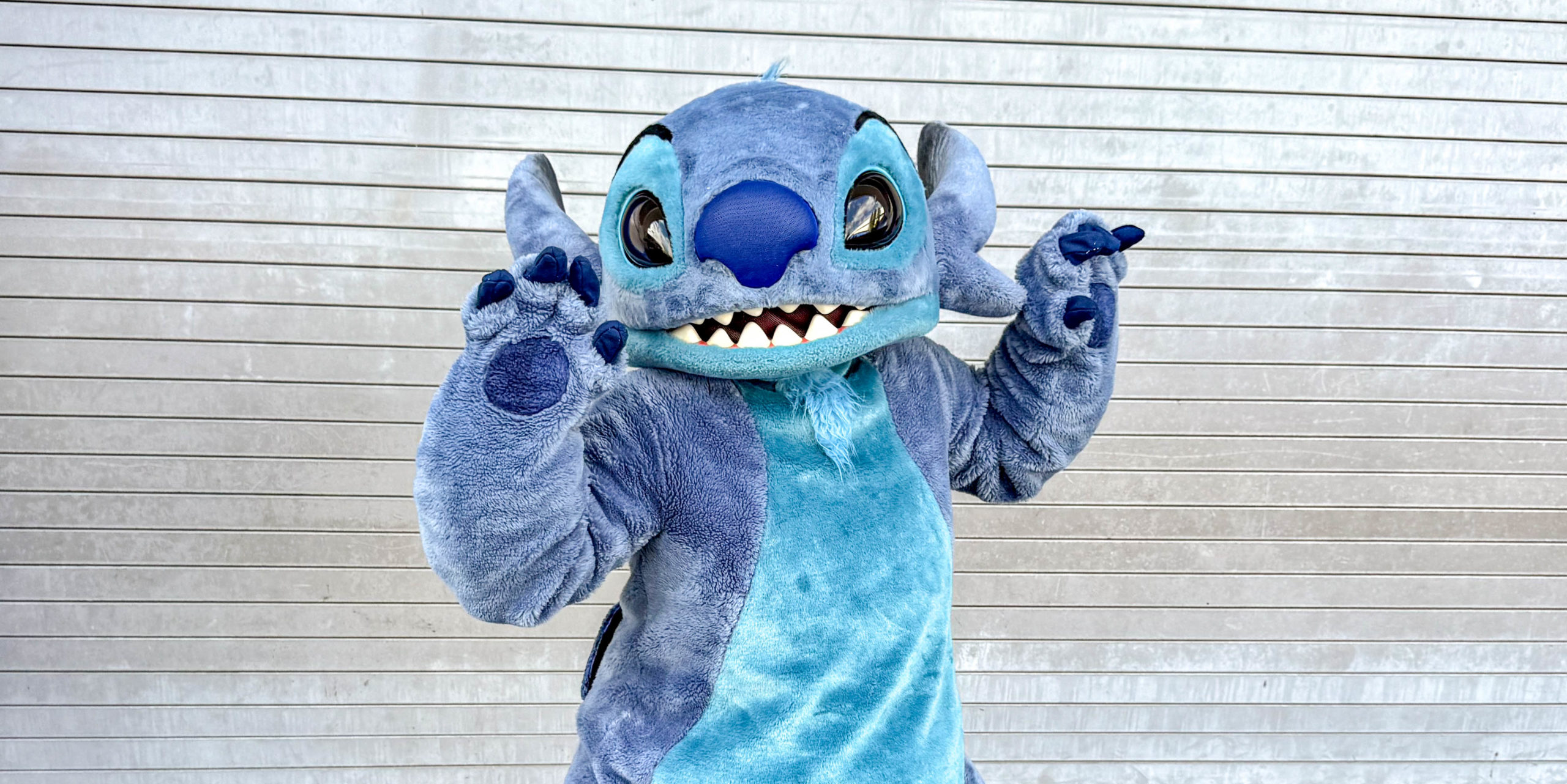 NEW Stitch Harveys Collection is Coming for 626 Day Post Image