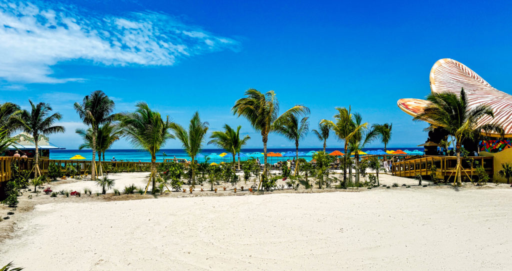 ALL of the Dining Spots &amp; Watering Holes Around Disney’s Lookout Cay Post Image