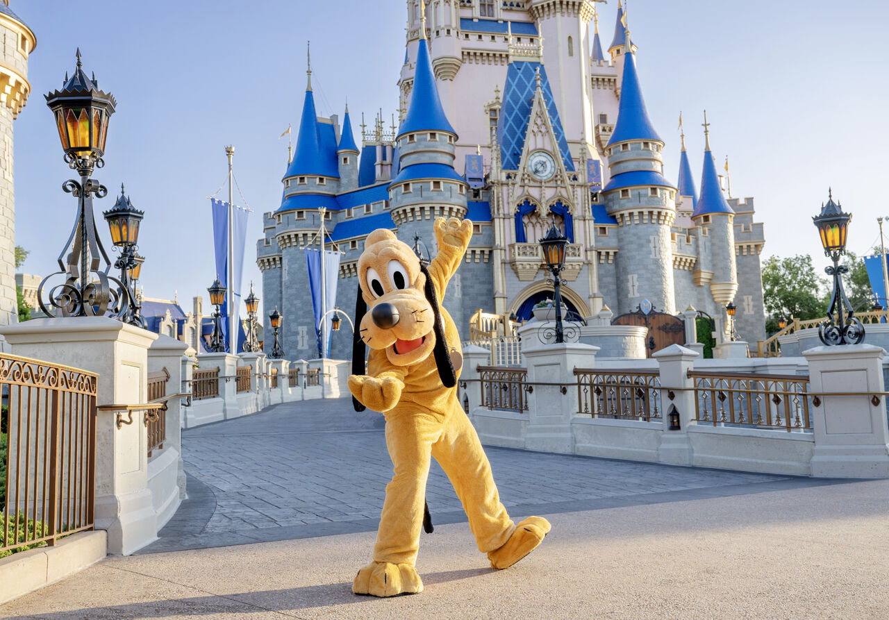 4 Dog-Friendly Disney World Hotels for a Pawsitively Perfect Vacation Post Image