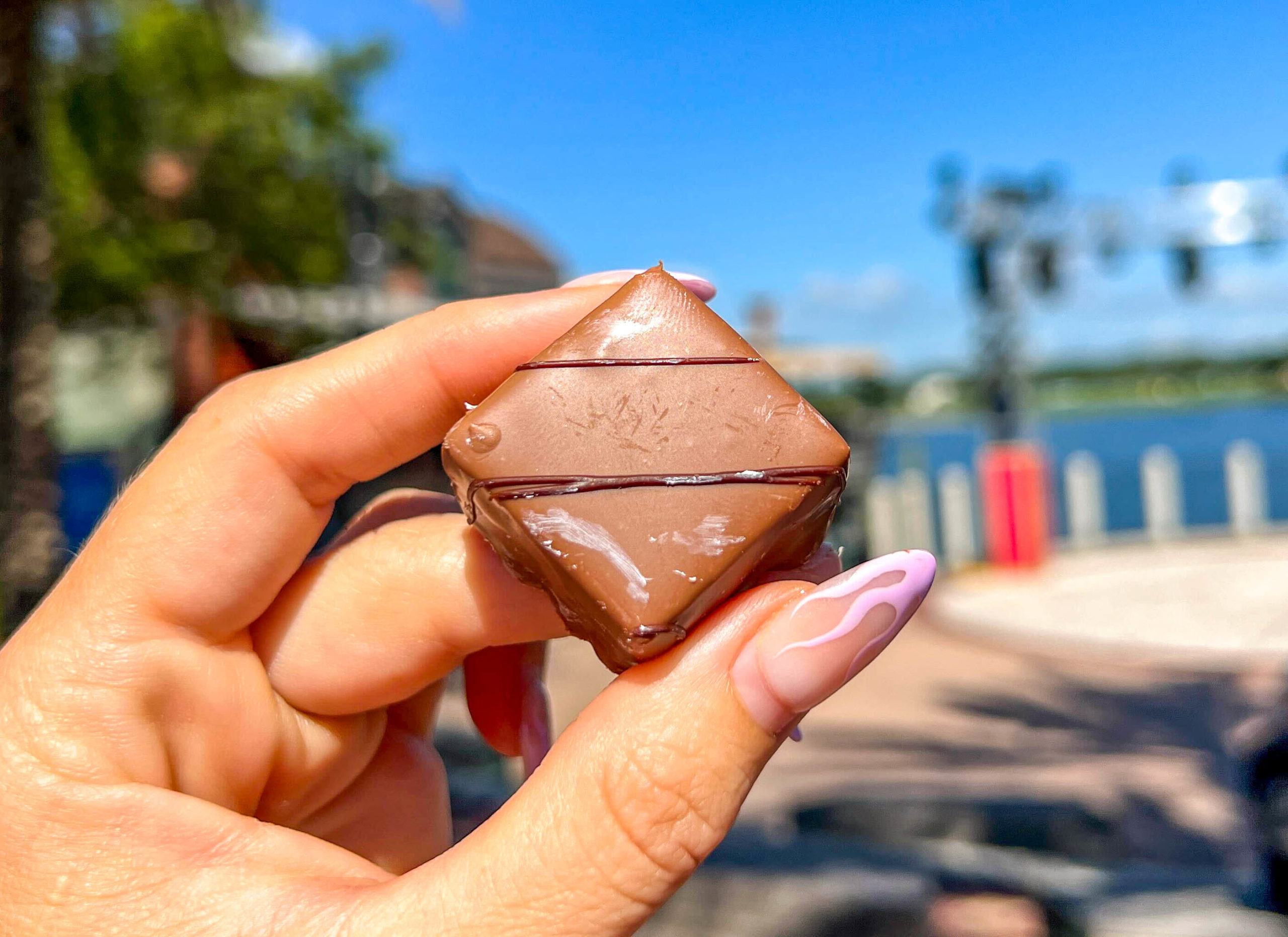 Celebrate World Chocolate Day at Disney World with these Tasty Treats! Post Image