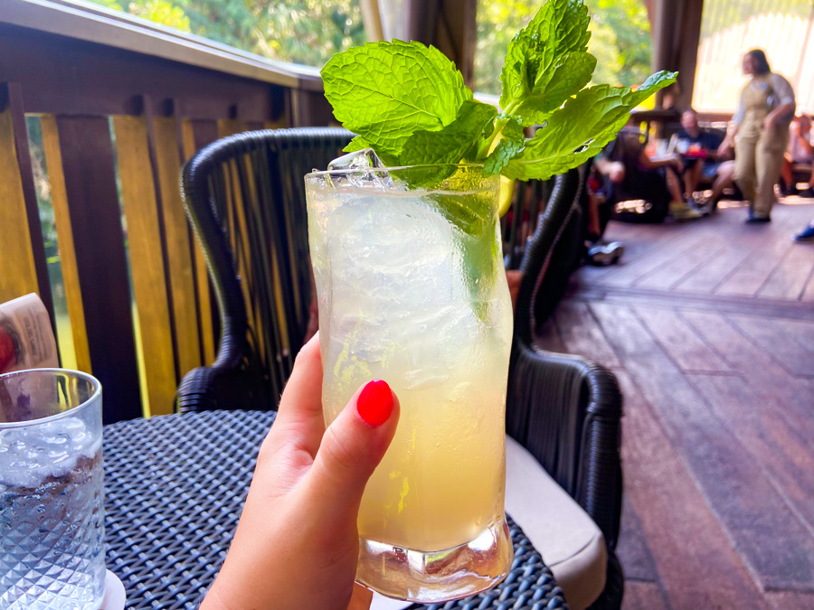 NEW Celebrity Drink Special Coming Soon to La Cava del Tequila in EPCOT Post Image