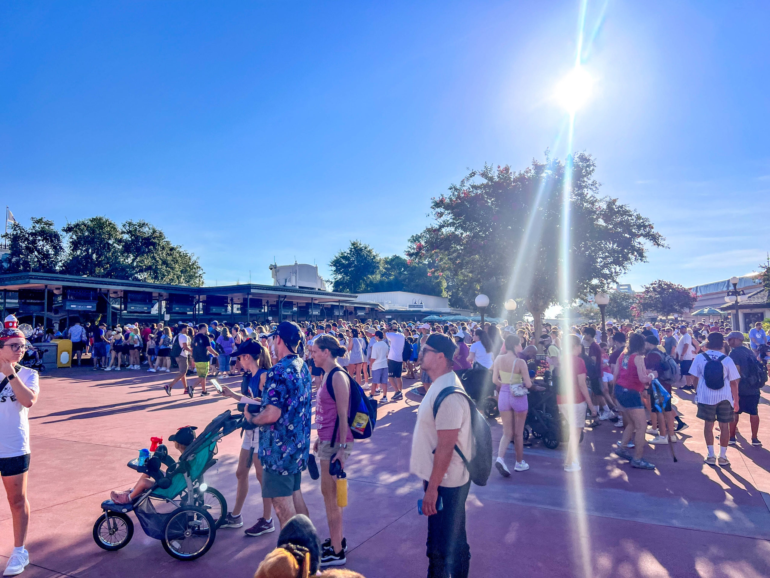 Beat the Heat with My Favorite Disney World Attractions Post Image