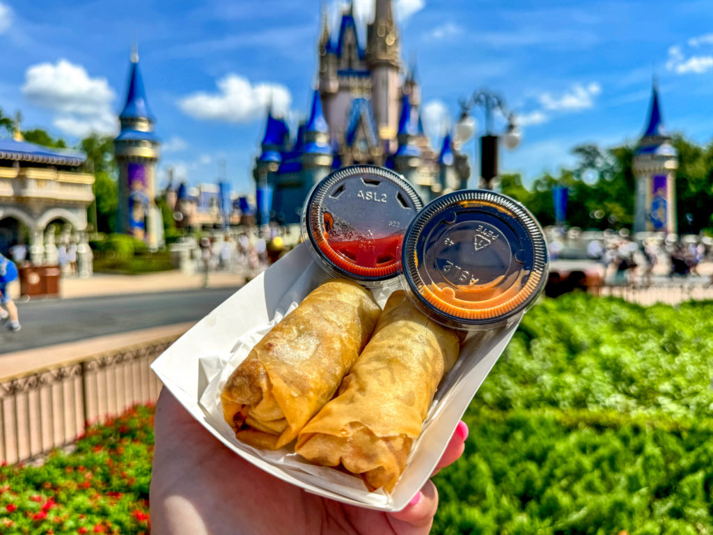 ICONIC DISNEY SNACKS: The Ronto Wrap from Hollywood Studios Post Image