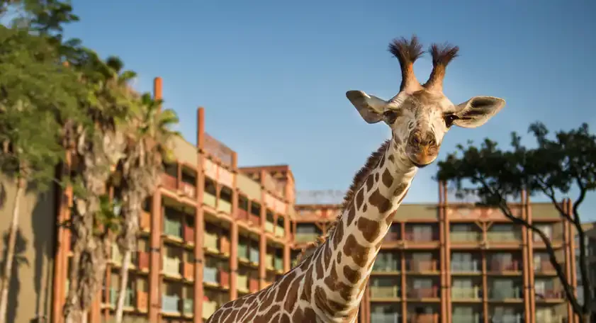 Worth It or Not Worth It? Disney Deluxe Resorts Post Image