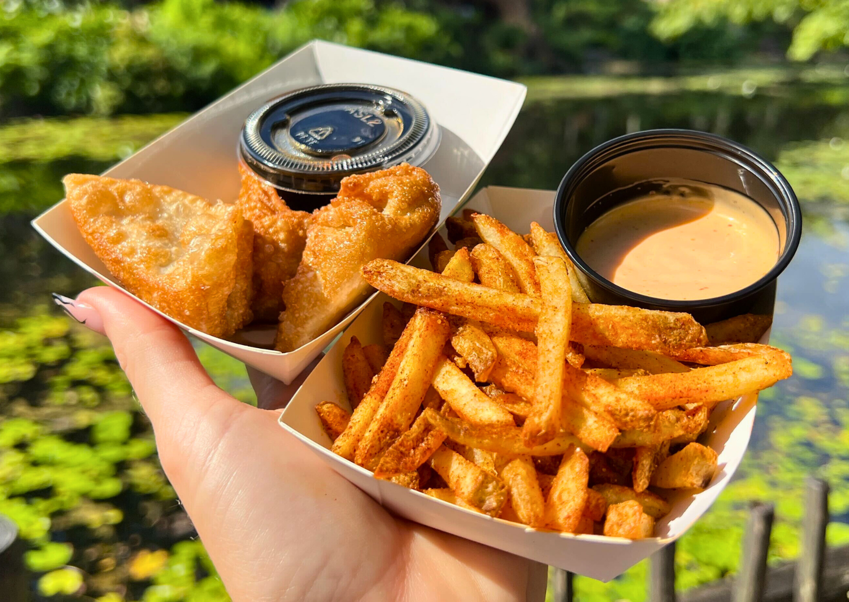 ICONIC DISNEY SNACKS: Chicken Fried Rice from Yak and Yeti Local Food Cafes Post Image