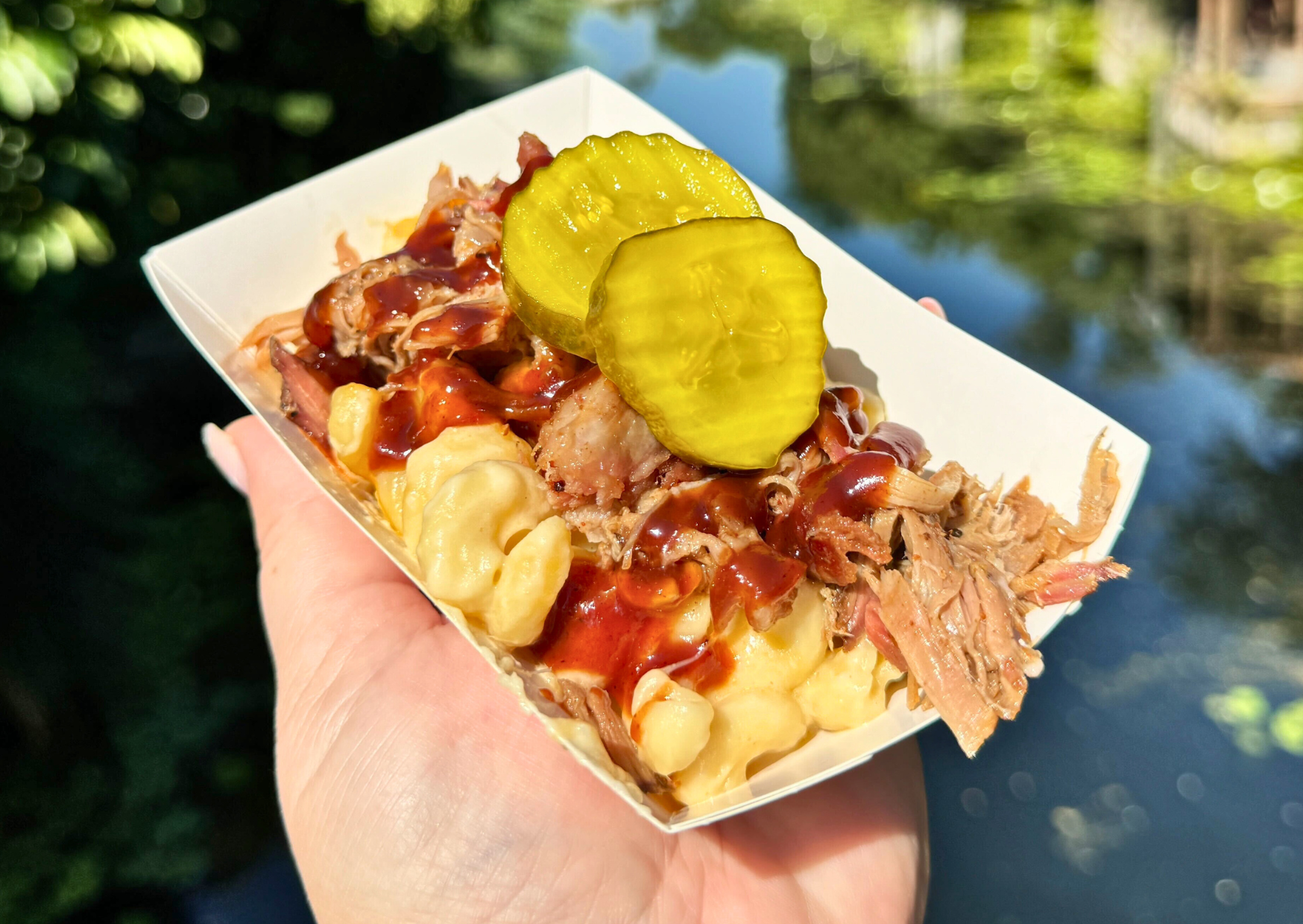 ICONIC DISNEY SNACKS: Buffalo Chicken Chips from Trilo-Bites Post Image