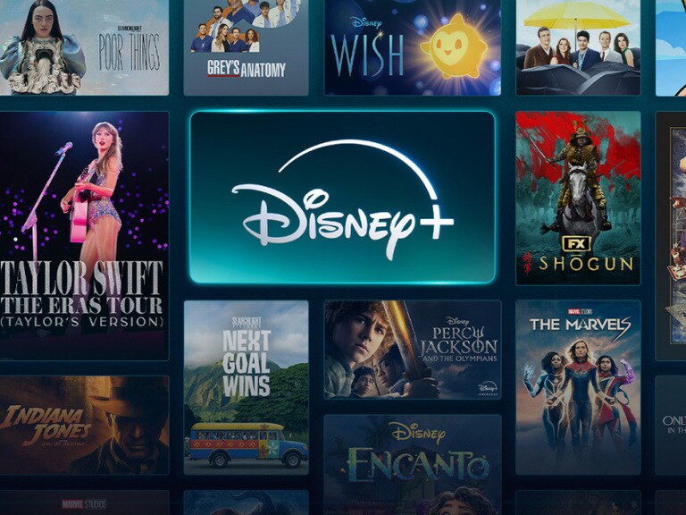 The Existential Crisis for Disney Streaming Post Image