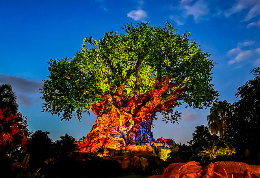 Our Top Five Snacks at Disney’s Animal Kingdom Post Image