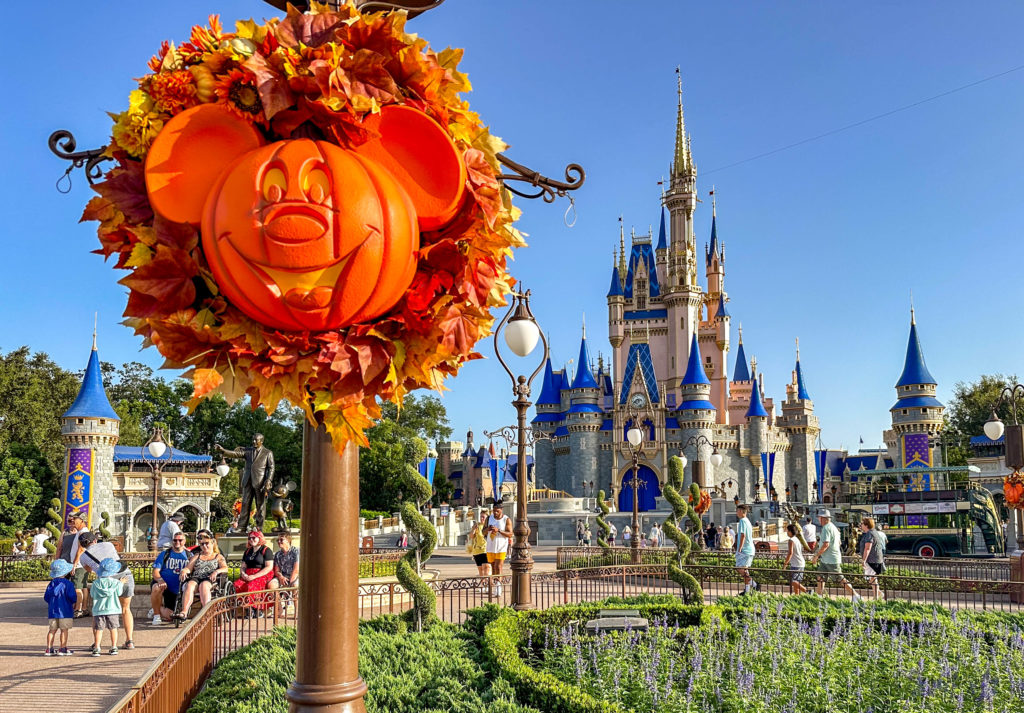PHOTOS: See the Pumpkins Decorated by Cast Members at Disney’s Polynesian Village Resort! Post Image