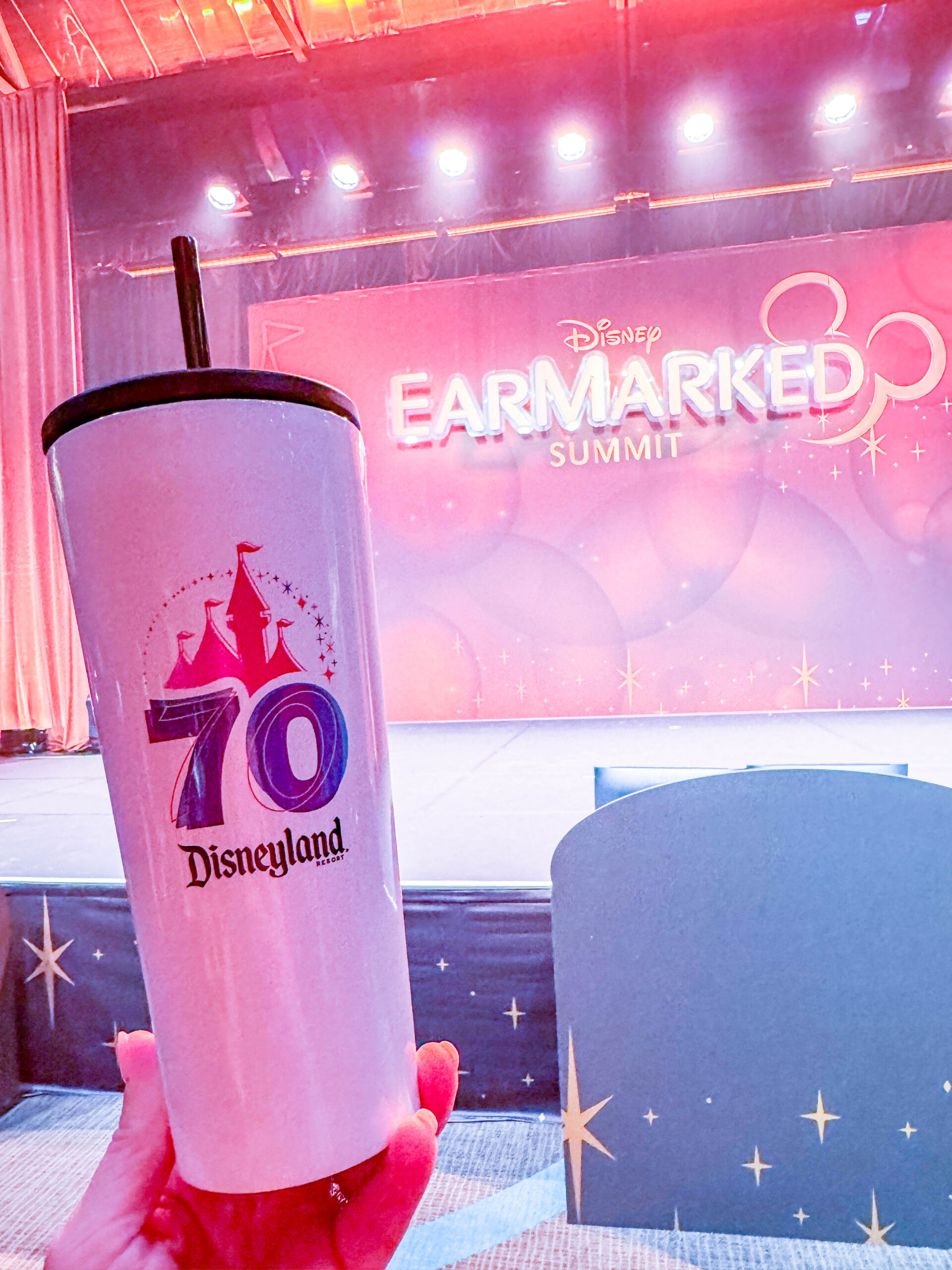 SNEAK PEEK: Take a Look at the Upcoming Disneyland x CORKCICLE 70th Anniversary Tumbler Post Image