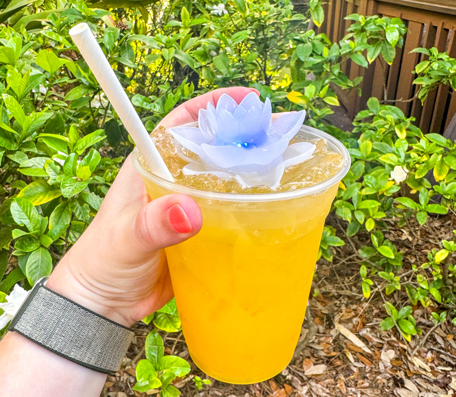 NEW Breakfast Cocktails Debut in Disney World! Post Image