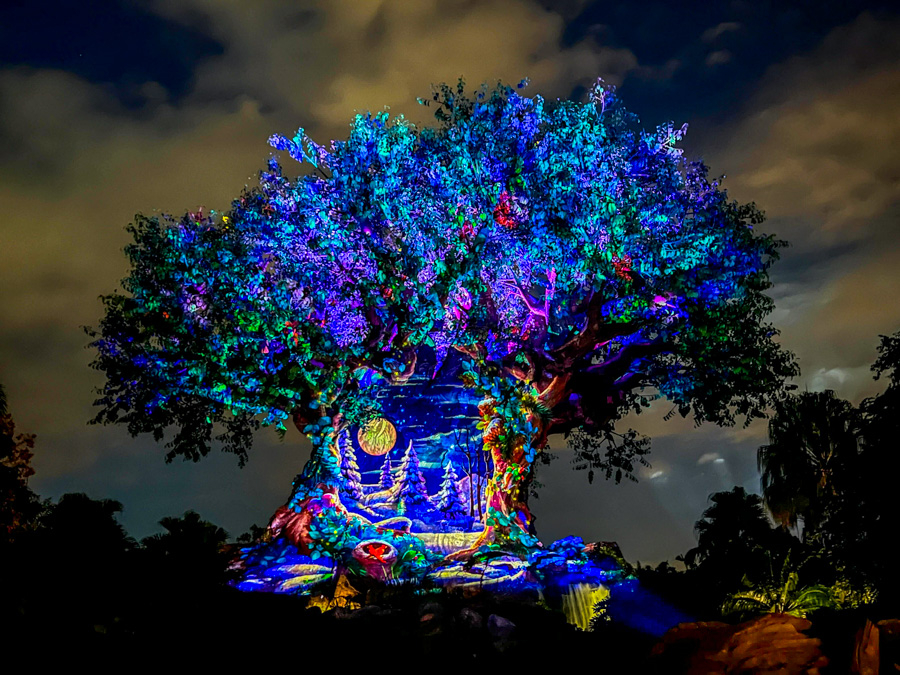 NEW Santa Claus Meet &amp; Greet Coming to Animal Kingdom this Holiday Season! Post Image