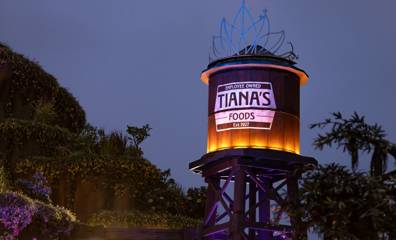 6 Must-Do Experiences in Disneyland’s Newest Reimagined Land — Bayou Country! Post Image