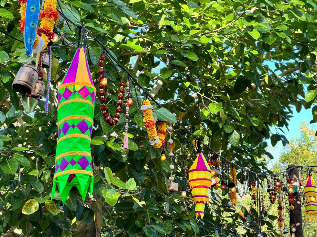 Diwali Dance Fest 2024 Promises Three Days of Magic at Walt Disney World Post Image