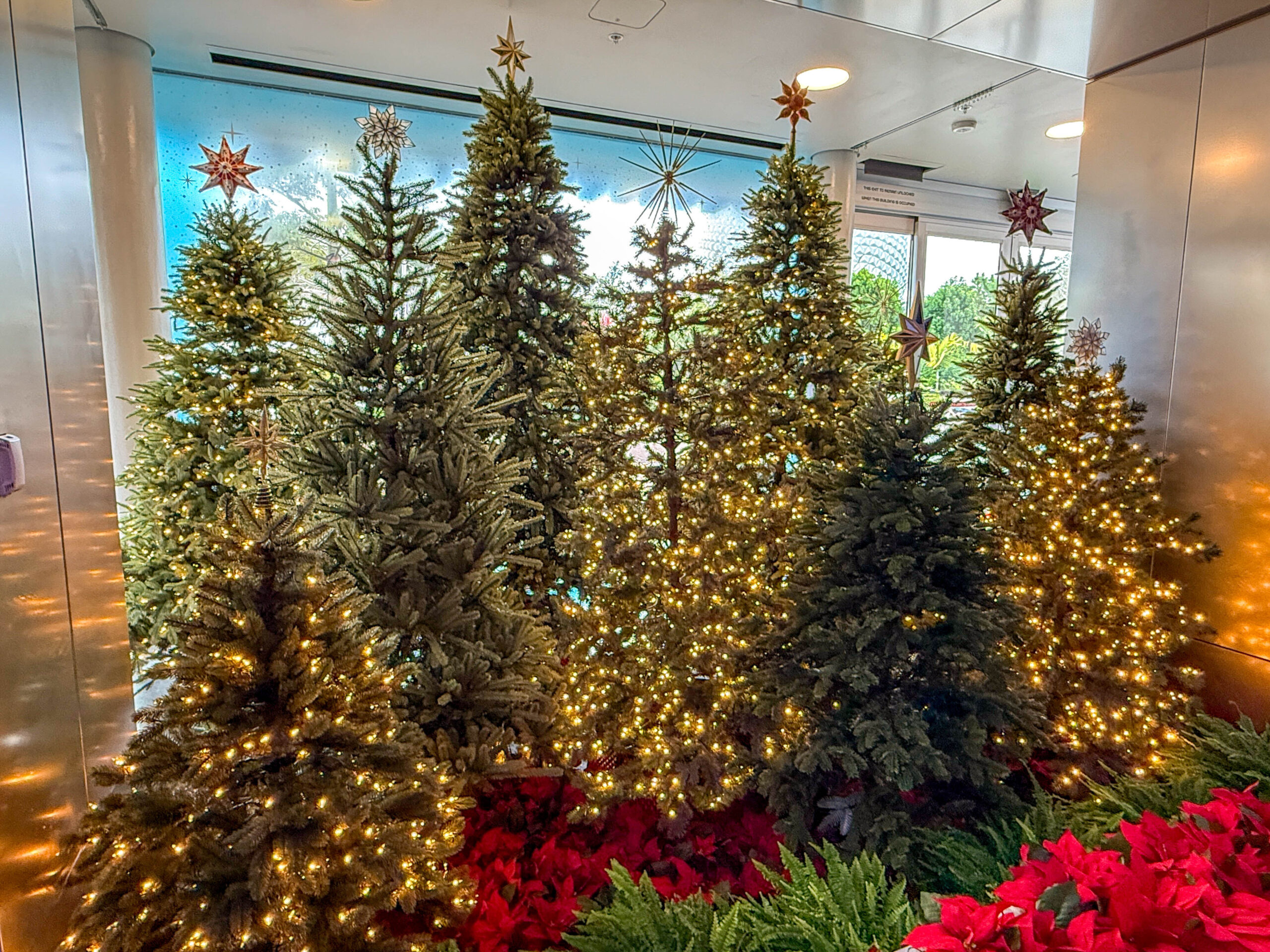 Let’s Try the Savory Beef Bourguignon at the Yukon Holiday Kitchen Post Image