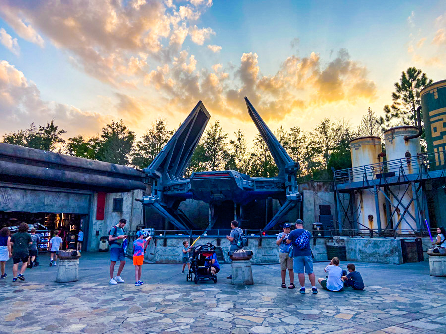 Pink and Jameson Shared a Magical Day at Disney World Post Image