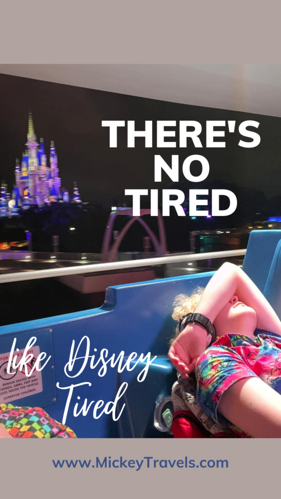 No Tired Like Disney Tired: Video of Woman Who Falls Asleep and Her Family Leaves Her Behind Post Image
