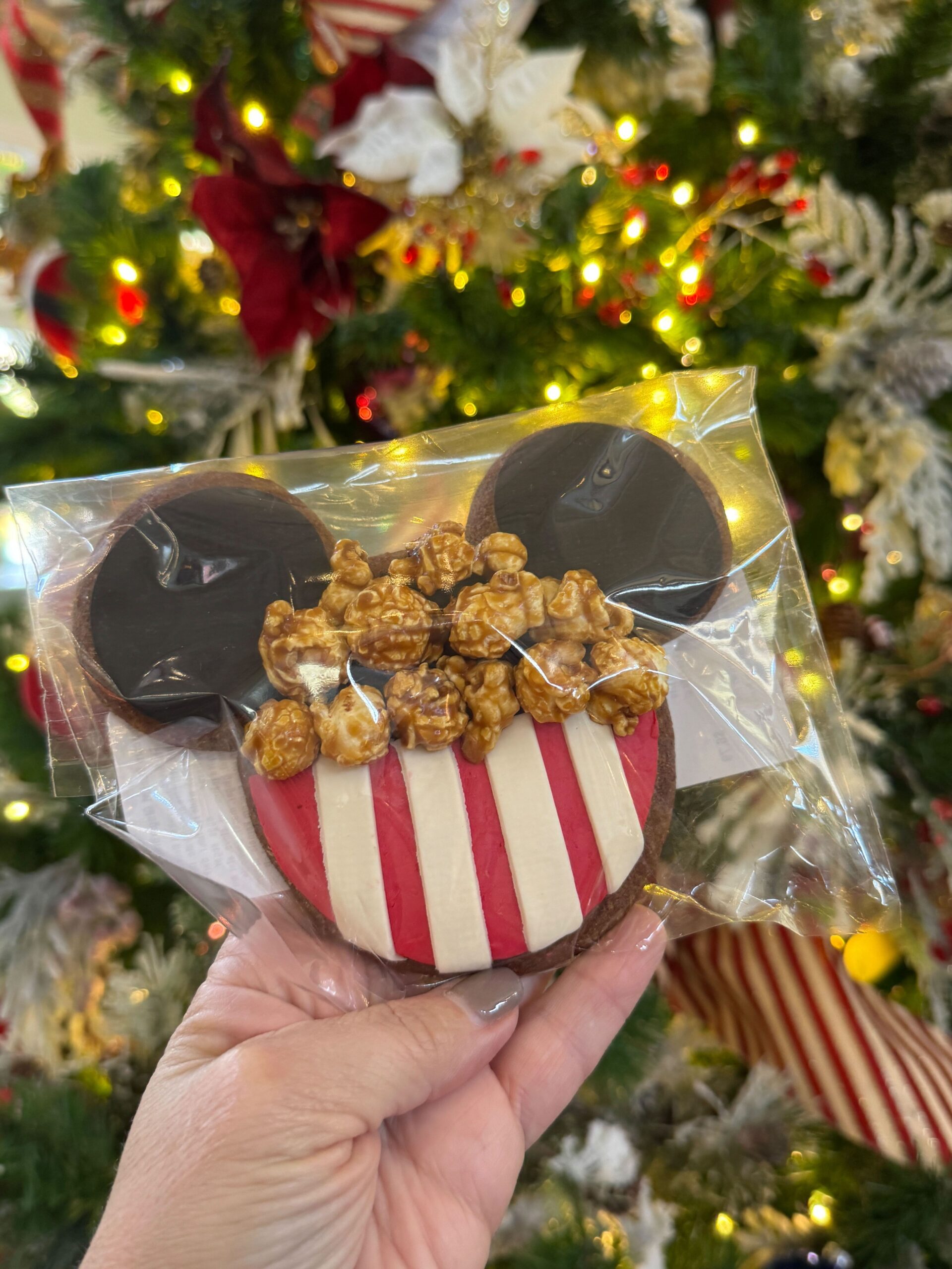 Don’t Miss These Festive Bites at Magic Kingdom! Post Image