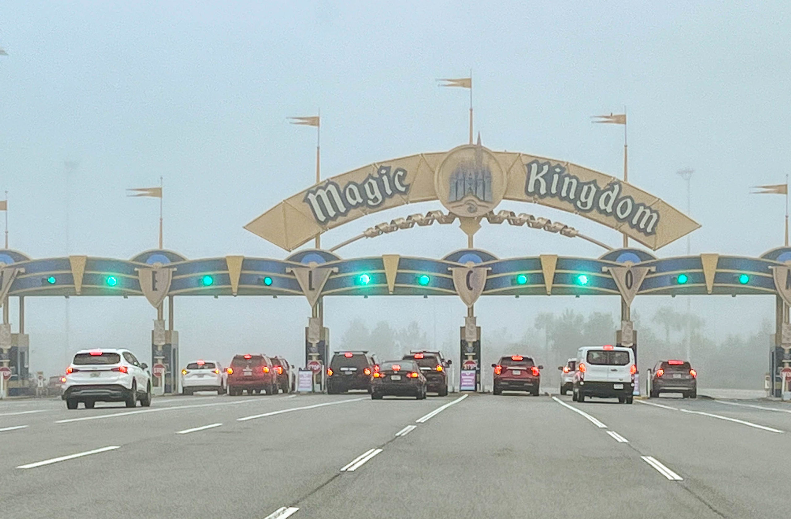 NEWS: Cloudy Skies and a Fog Advisory in Effect for Walt Disney World Post Image