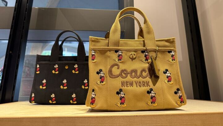 PHOTOS: NEW Four Parks Merchandise Just Arrived at World of Disney! Post Image