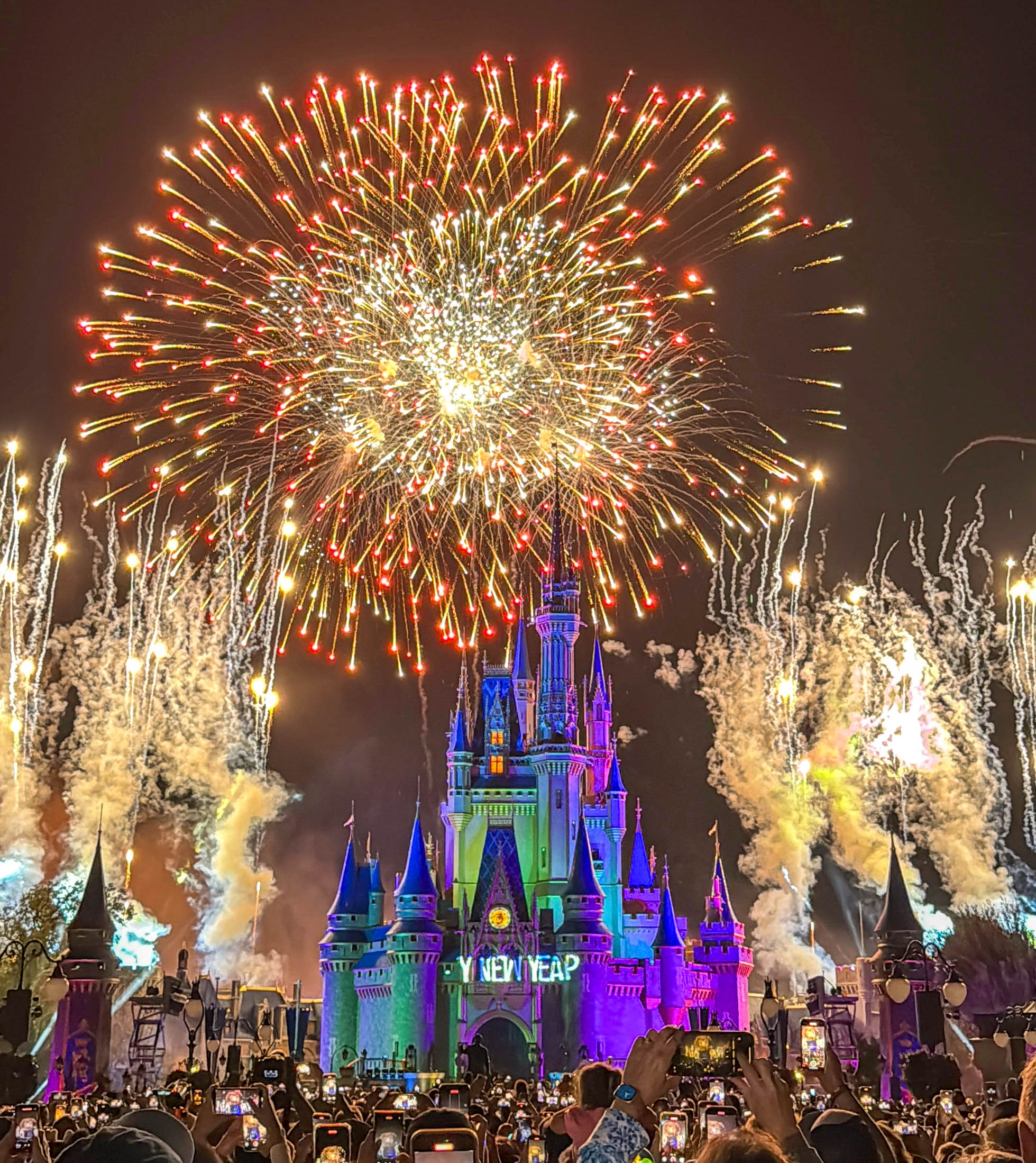 Disney Headlines for December 31st, 2024 Post Image