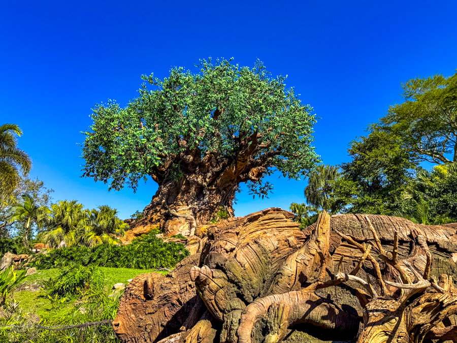 New Animal Kingdom Collection Available Now at Island Mercantile! Post Image