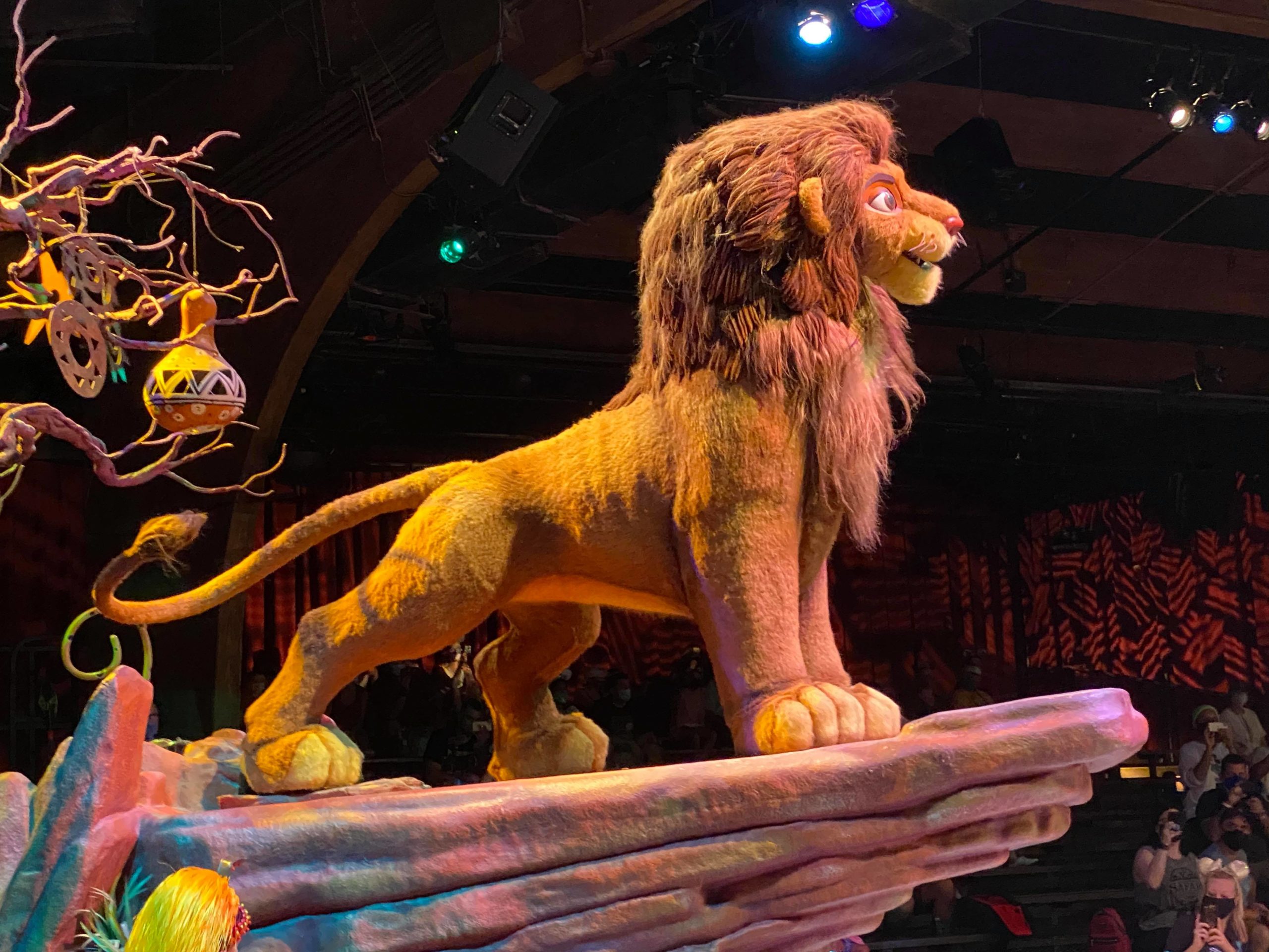 WATCH: An Ardvaark Lesson with Animal Kingdom’s Dr. Mark Post Image