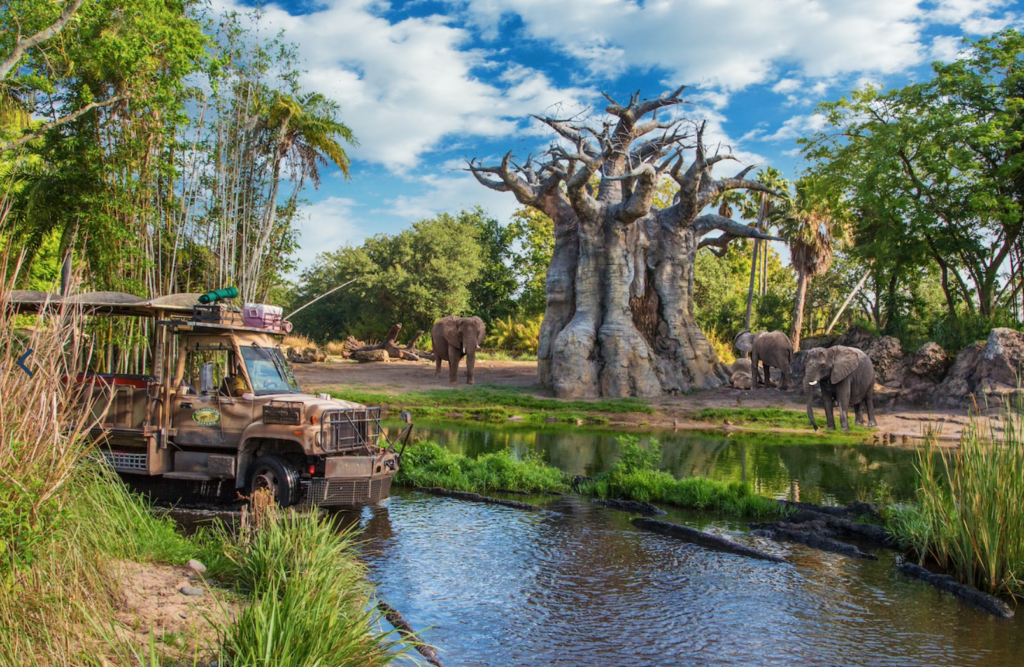 PHOTOS: New Pride of Lions Debuts on Kilimanjaro Safaris in Disney’s Animal Kingdom Post Image