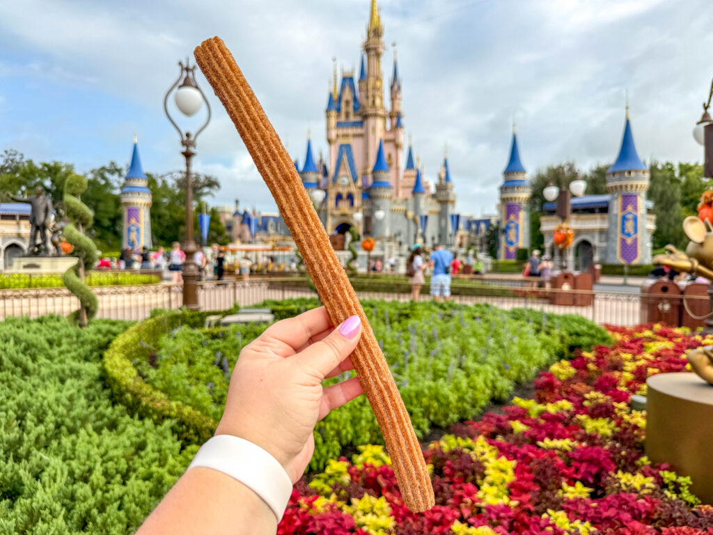 Disney’s Newest Churros Snack Lets You Choose Your Own Adventure! Post Image