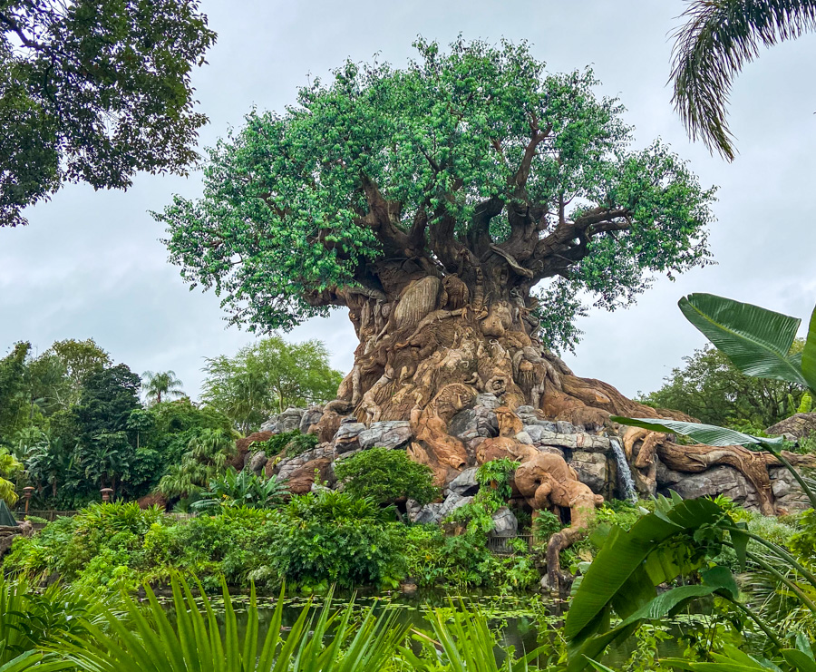 Disney Vacation Club Kiosk Removed From DinoLand U.S.A. at Disney’s Animal Kingdom Post Image