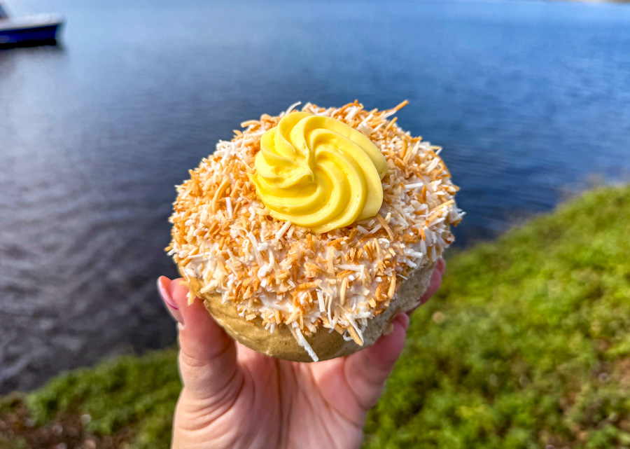 ICONIC DISNEY SNACKS: Traditional Poutine from Refreshment Port in EPCOT Post Image