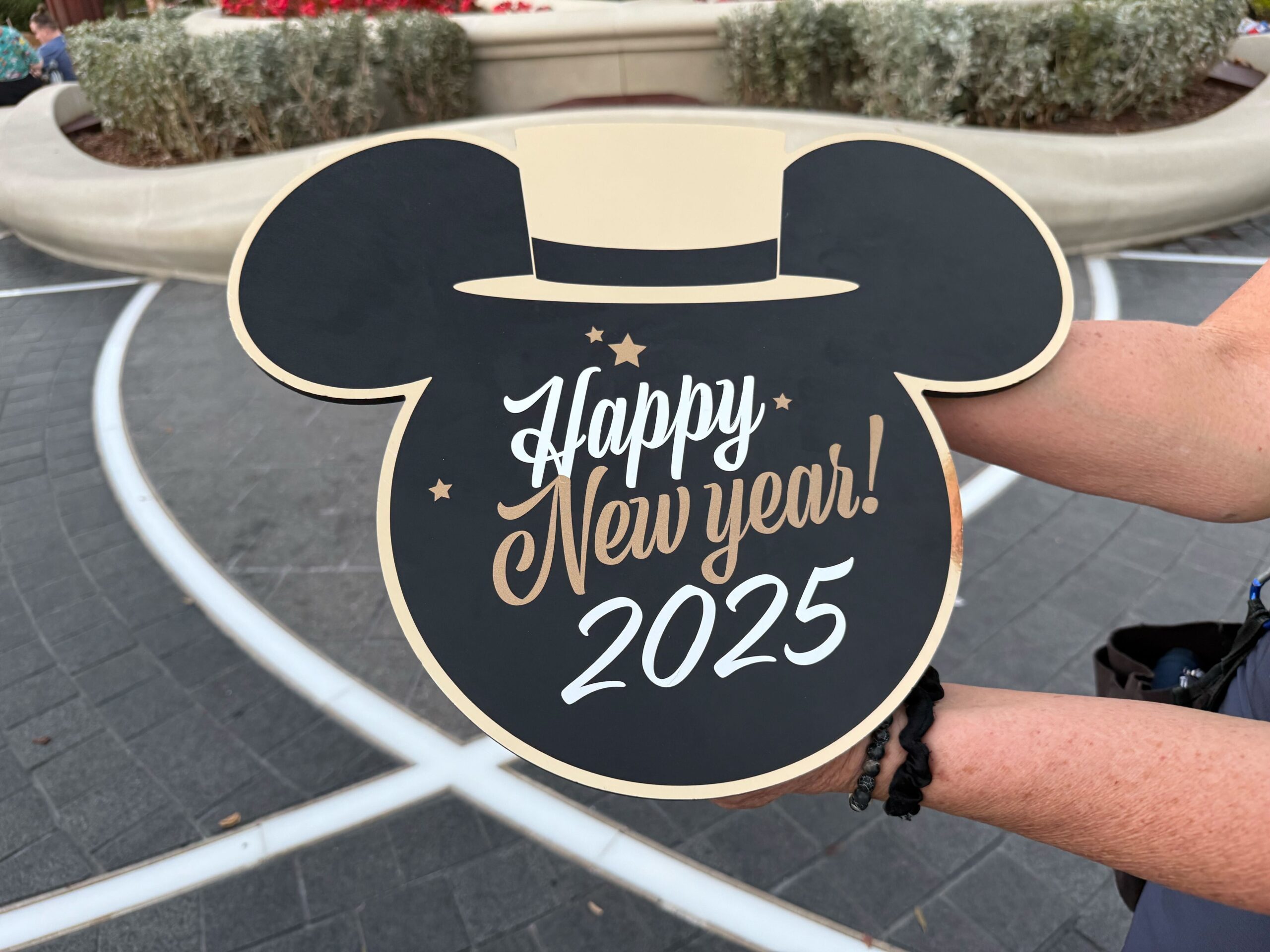 Disney Rumors for January 2025 Post Image